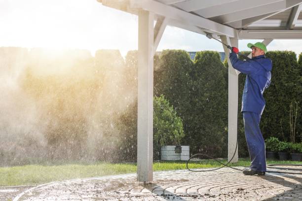 Animal Enclosure Cleaning in Trinity, AL