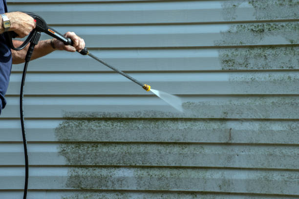 Trusted Trinity, AL Pressure Washing Services Experts
