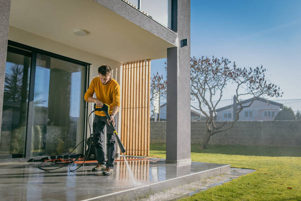 Best House Exterior Washing  in Trinity, AL