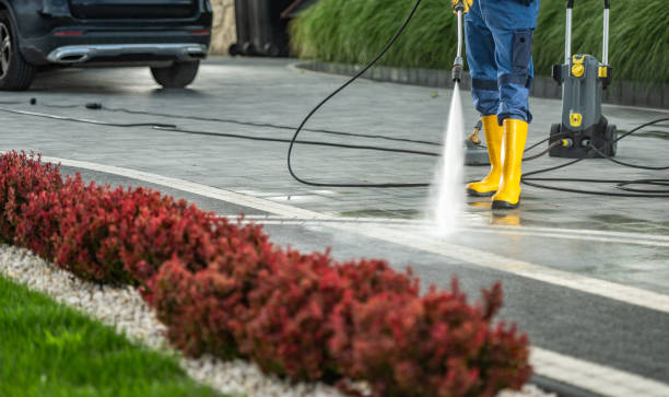 Best Solar Panel Cleaning  in Trinity, AL